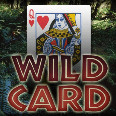 Wild Card - Carta Salvaje